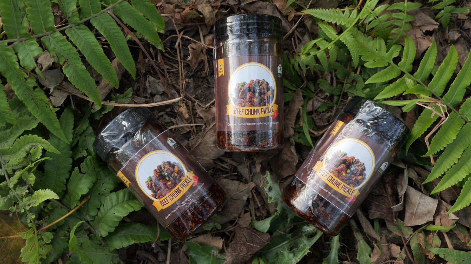 BEEF CHUNK PICKLE - Image 2