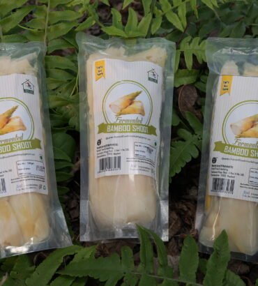 FERMENTED BAMBOO SHOOT